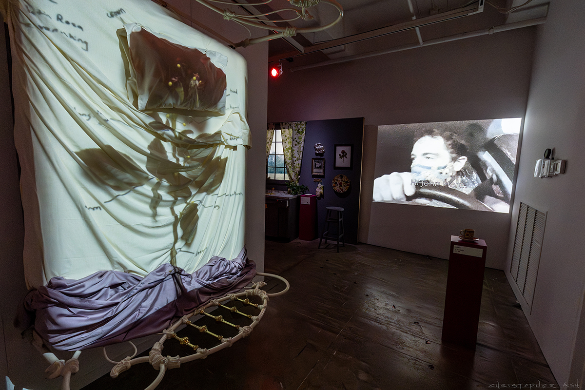 Image of the first 3 exhibits from the rose garden